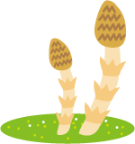 つくし